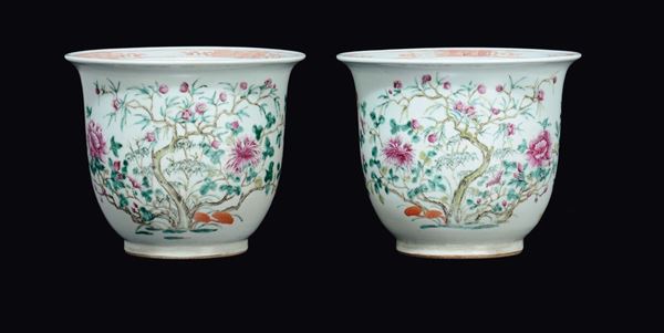 A pair of Famille-Rose porcelain jardinières with blossom branches, China, Qing Dynasty, 19th century
