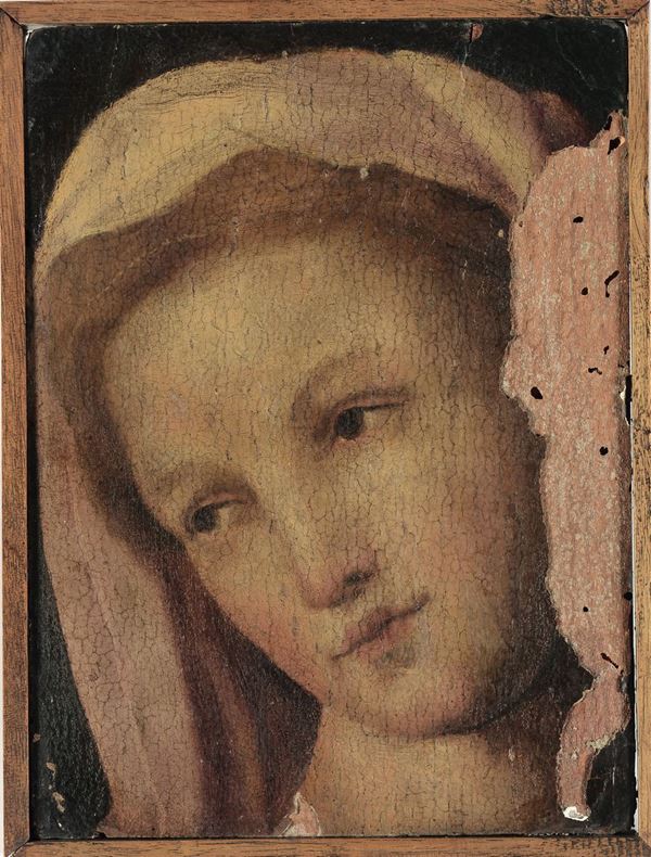 Scuola Senese del XVI secolo, nei modi di Domenico Beccafumi Volto di donna