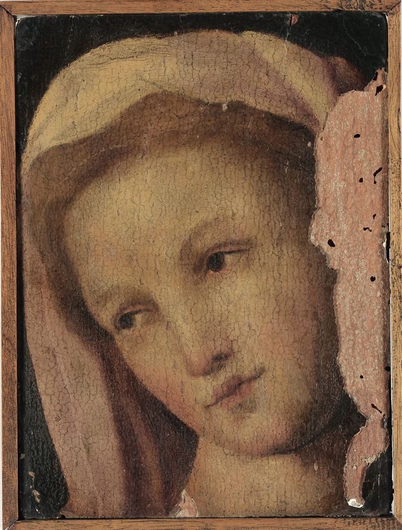 Scuola Senese del XVI secolo, nei modi di Domenico Beccafumi Volto di donna  - Asta Dipinti Antichi - Cambi Casa d'Aste
