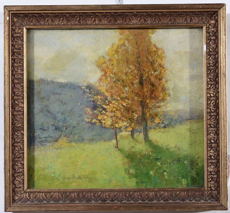 Giuseppe Sacheri (1863 - 1950) Paesaggio con alberi  - Asta Dipinti del XIX e XX secolo - Cambi Casa d'Aste