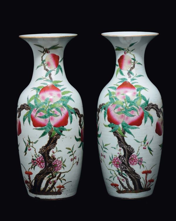 Coppia di vasi in porcellana a smalti policromi con decoro nove pesche, Cina, Dinastia Qing, XIX secolo