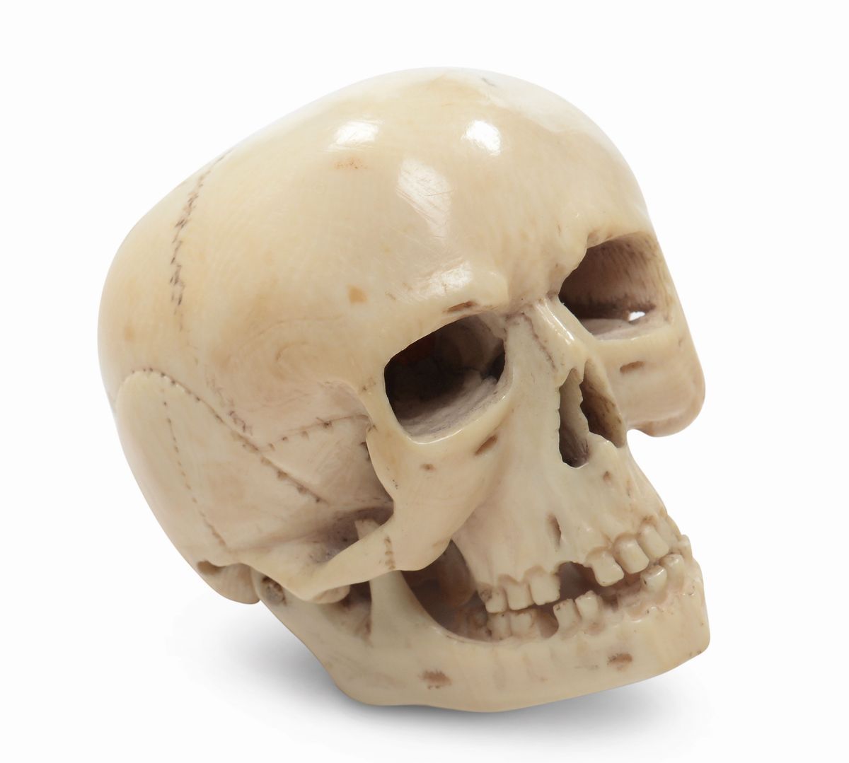 Memento Mori in Avorio a Foggia di Teschio Finemente Scolpito con Mandibola Mobile. Germania XVII...