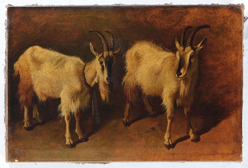 Francesco Londonio (1723-1783), attribuito a Due caprette  - Asta Antiquariato - Cambi Casa d'Aste