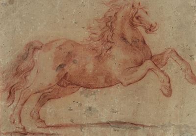 Cavalier D’arpino, Seguace Dicavallo Rampante