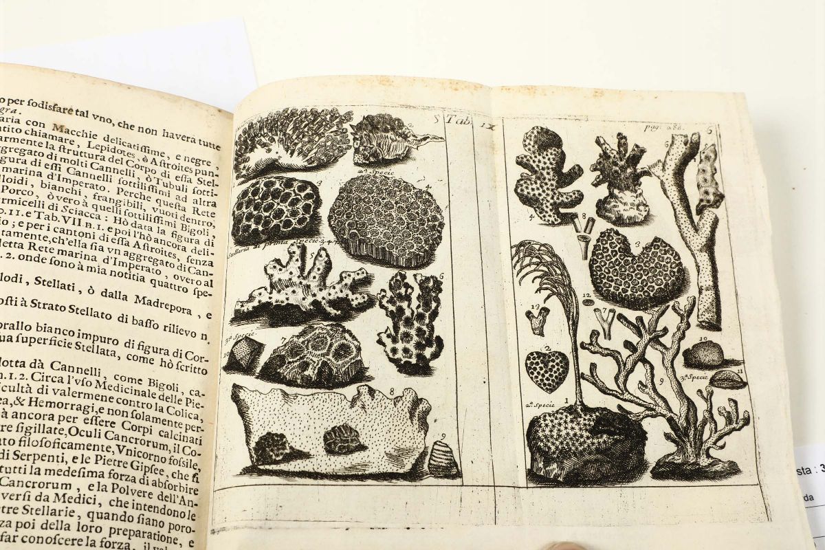 Paolo, Bocconemuseo di Fisica e di Esperienze. Variato e Decorato di Osservazioni Naturali, Note ...