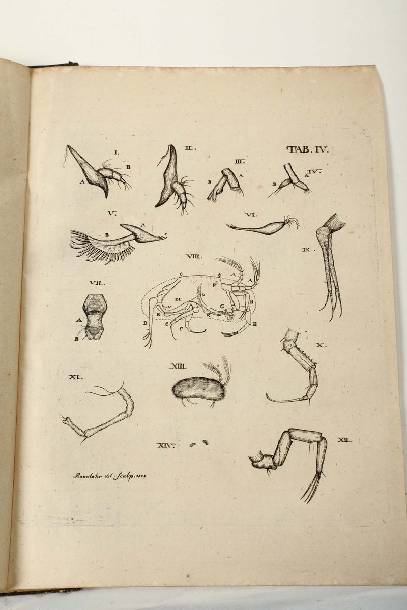 Ramdohr, Karl Augustmitro Graphische Beitrage, Halle, 1805