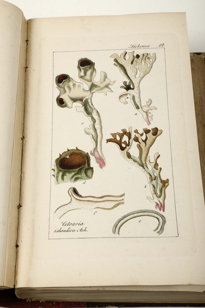 Ramdohr, Karl Augustmitro Graphische Beitrage, Halle, 1805