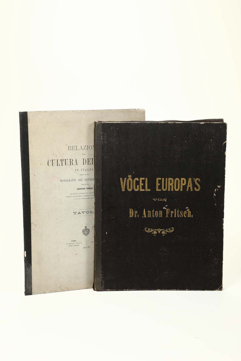 Fritsch, Anton Vogel Europa's, Prag, 1871  - Asta Libri Antichi e Rari - Cambi Casa d'Aste