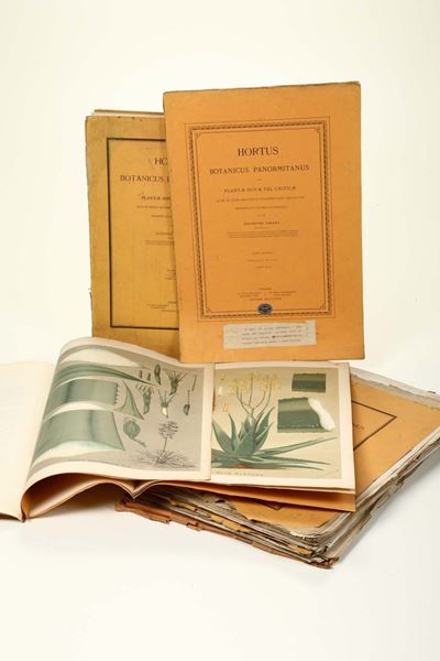 Todaro, Augustinohortus Botanicus Panormitanus, Palermo, 1876-1892