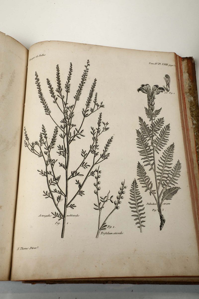 Voyages De M.p.s. Pallas..., Paris, 1793, Solo Tomo Sesto (planches)