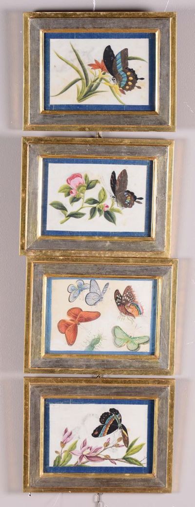 Serie di Dodici Dipinti con Fiori e Farfalle
