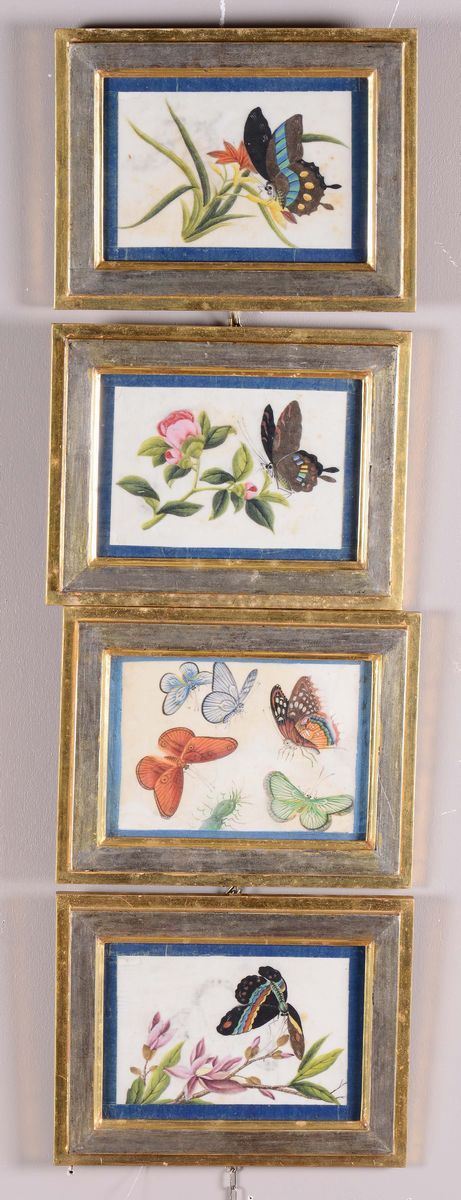 Serie di dodici dipinti con fiori e farfalle