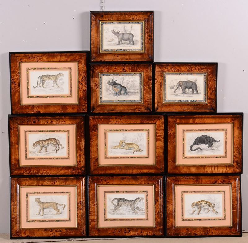 Lotto di stampe raffiguranti ghepardi, elefanti, rinoceronti  - Asta Asta a Tempo Antiquariato - II - Cambi Casa d'Aste