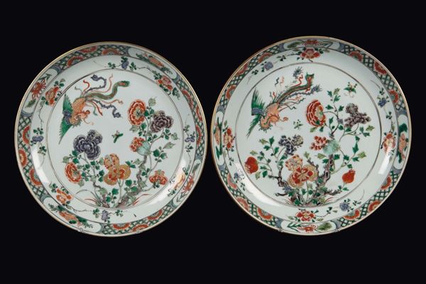 Coppia di piatti in porcellana Famiglia Verde a decoro naturalistico, Cina, Dinastia Qing, epoca Kangxi (1662-1722)