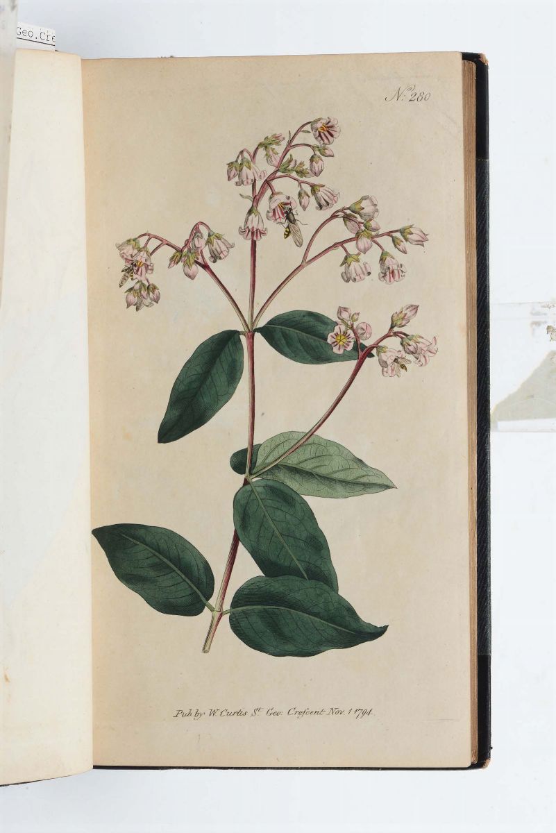 Curtis, Williamraccolta di Tavole Acquarellate, Inghilterra, 1794