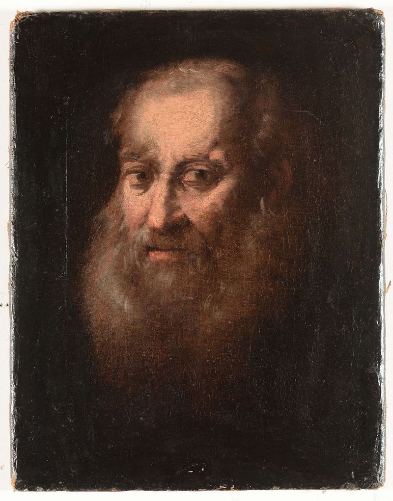 Scuola del XVII secolo Testa di folosofo  - Auction Fine Art - Cambi Casa d'Aste