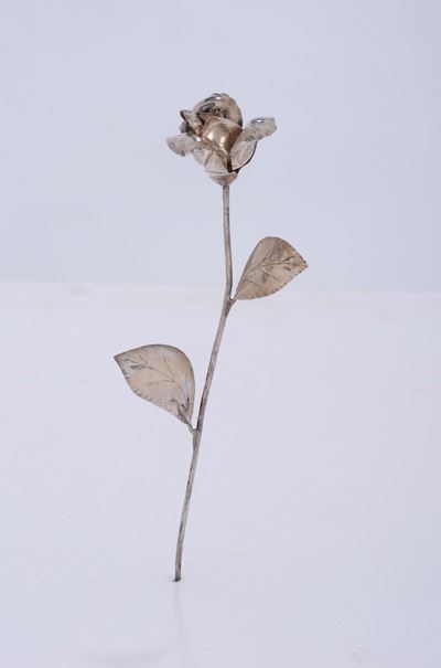 Rosa in Argento