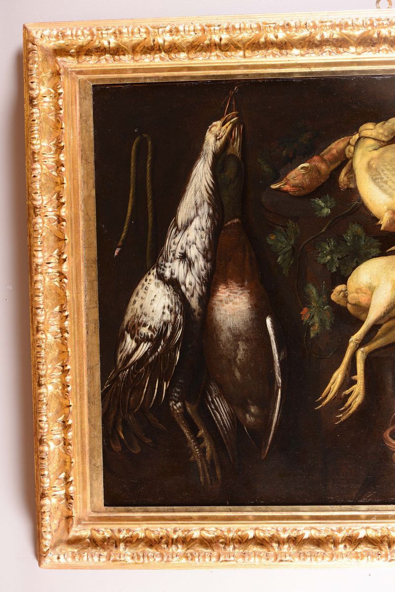 Bartolomeo Arbotori (piacenza 1594 - 1676)natura Morta con Pennuti