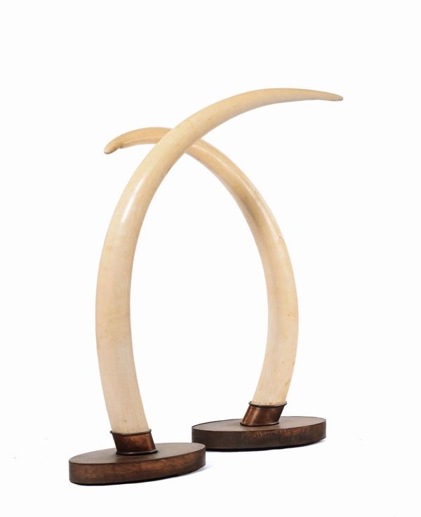 Coppia di zanne di elefante africano naturali