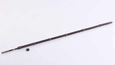 Bastone da Passeggio Animato