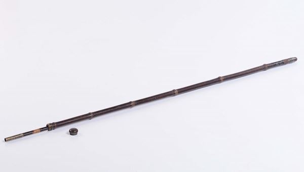 Bastone da passeggio animato