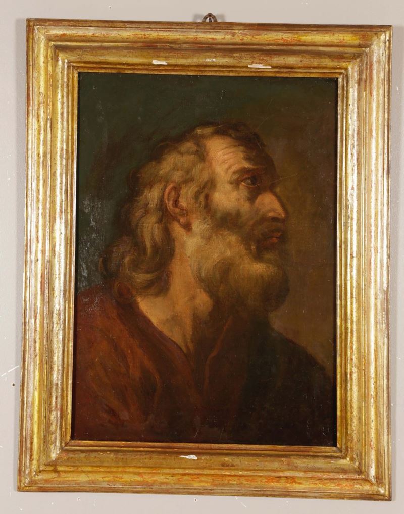Scuola del XVIII secolo Testa di Santo  - Auction Fine Art - Cambi Casa d'Aste