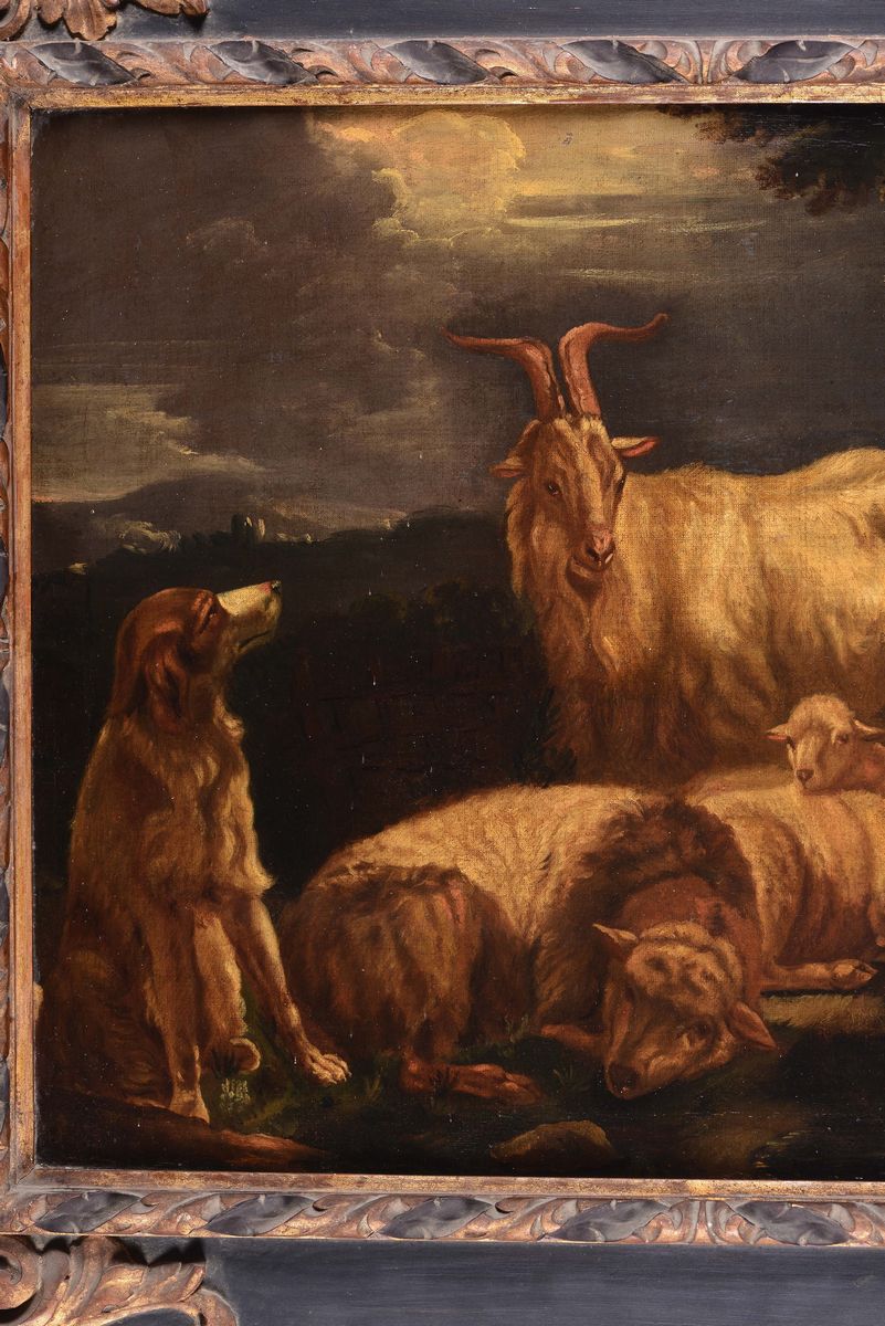 Philipp Peter Roos, Detto Rosa da Tivoli (francoforte sul Meno 1655 - Tivoli 1706) Attribuito Apa...