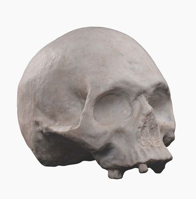 Memento Mori in Marmo Bianco. Lapicida del XVII-XVIII Secolo