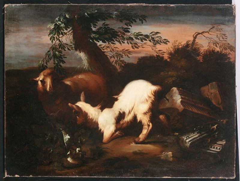 Scuola italiana del XVIII secolo Pecora e capretta  - Auction Old Masters Paintings - I - Cambi Casa d'Aste
