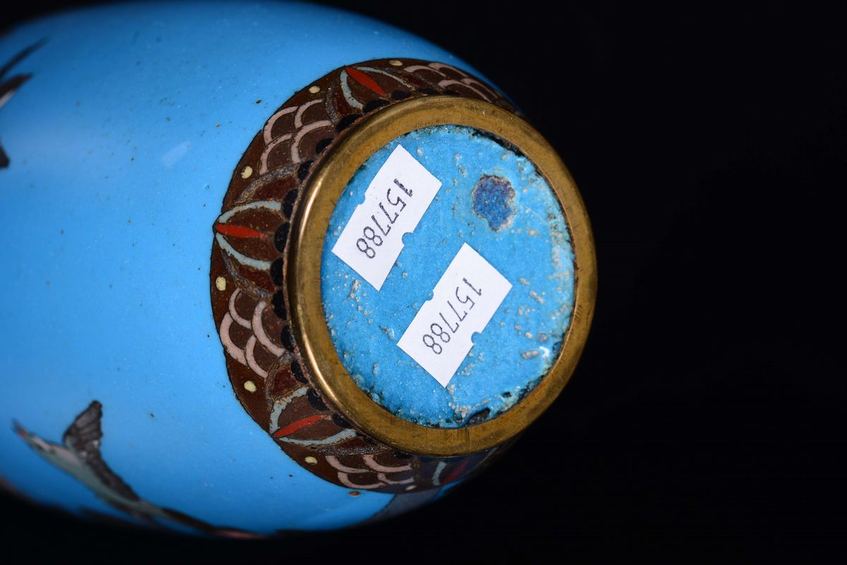 Coppia di Vasi Cloisonné con Uccellini, Giappone, XIX Secolo