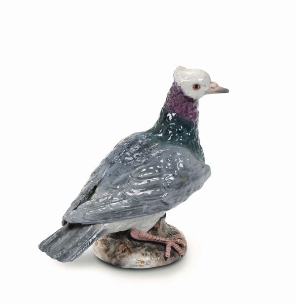 A Meissen porcelain polychrome pigeon, 19th century