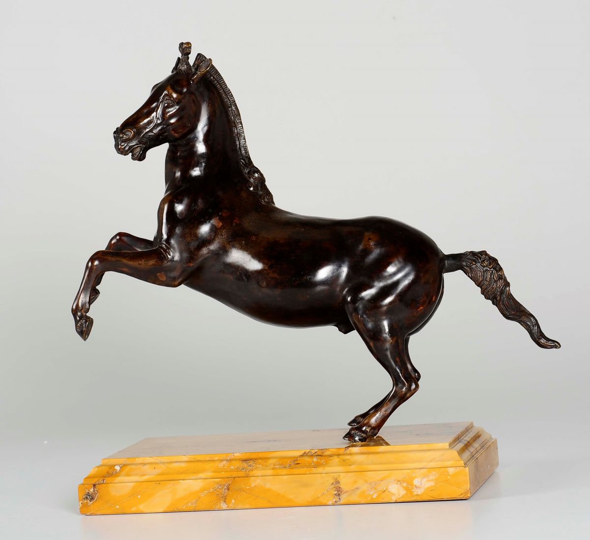 Cavallo Rampante in Bronzo, Bronzista Italiano del XVIII-XIX Secolo