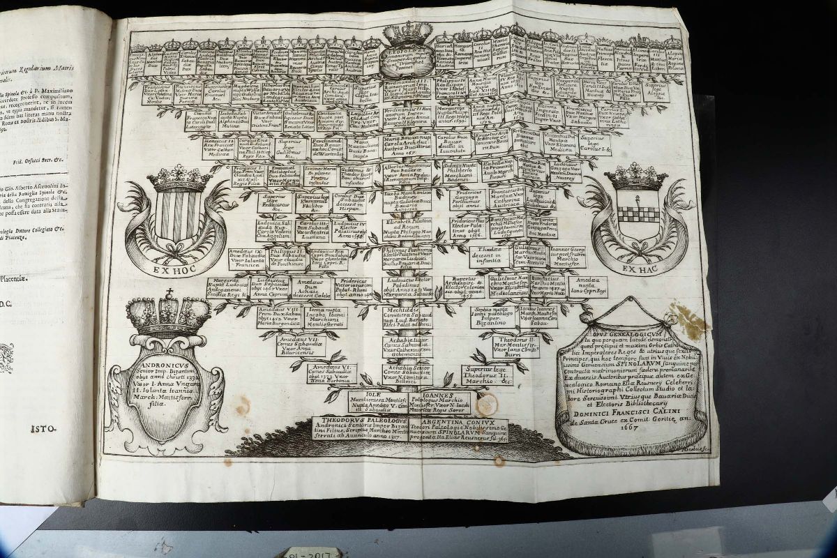 Deza, Massimilanoistoria della Famiglia Spinola Descritta dalla Sua Origine Fino al Secolo XVI, P...