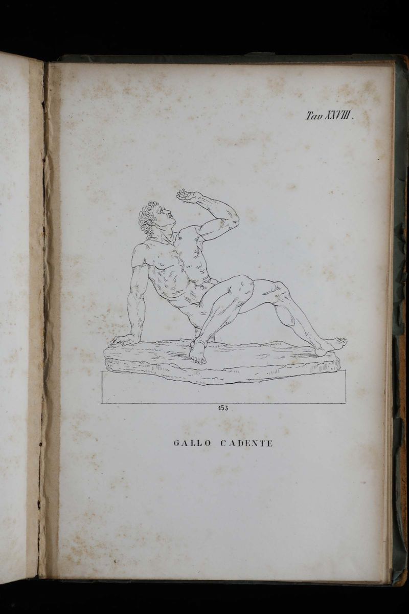 Valentinelli, Giuseppemarmi Scolpiti del Museo Archeologico della Marciana di Venezia..prato, Alb...