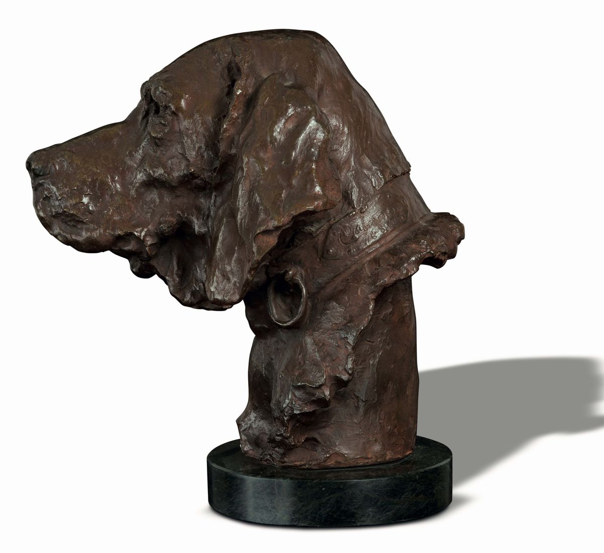 Davide Calandra (1856-1915)testa di Cane