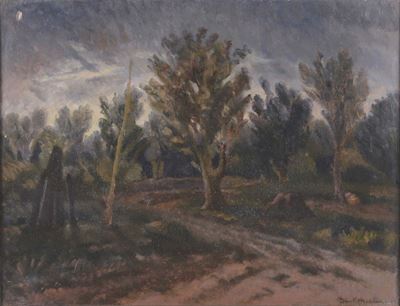 D. Montanaripaesaggio con Boscaglia