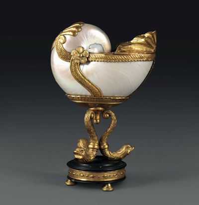 Nautilus con Montatura in Bronzo Dorato, Francia XIX Secolo