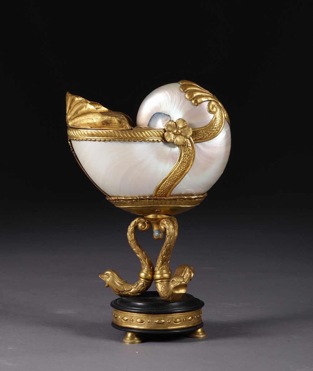 Nautilus con Montatura in Bronzo Dorato, Francia XIX Secolo