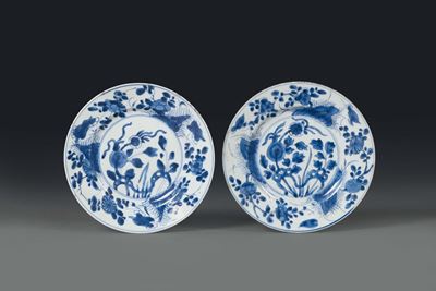 Due Piatti in Porcellana con Decoro Vegetale Bianco e Blu, Cina Dinastia Qing, XVIII Secolo