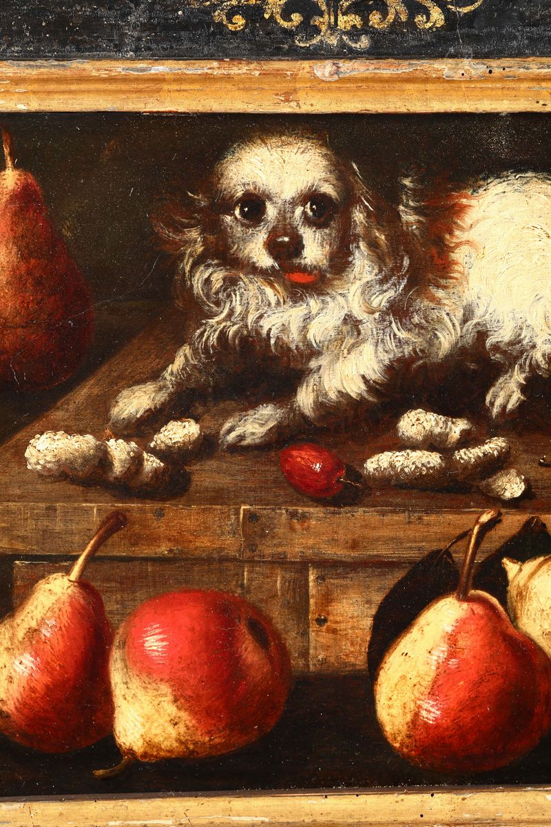 Scuola del XVII Secolonatura Morta con Frutta e Cagnolino