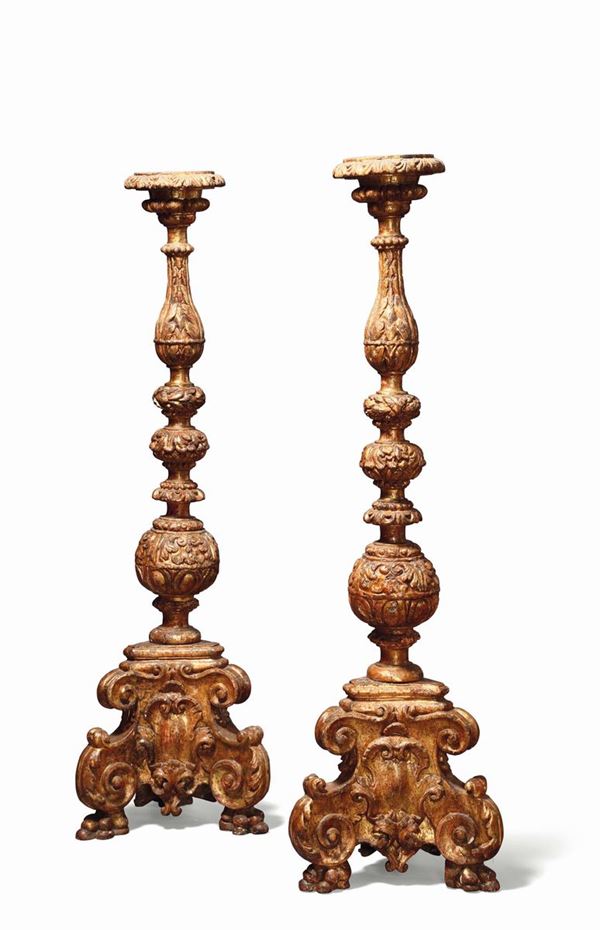 Coppia di grandi torciere in legno intagliato e dorato, Toscana XVII secolo