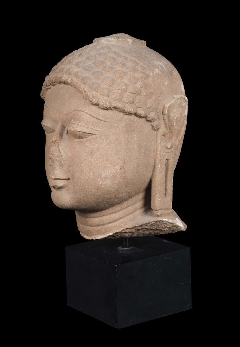 Testa di Buddha in Pietra, Rajasthan, XIII Secolo