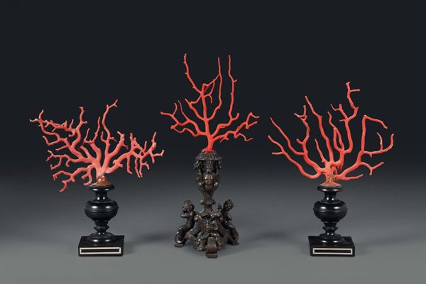 A triptych with corals mounted onto ebanised bases.
