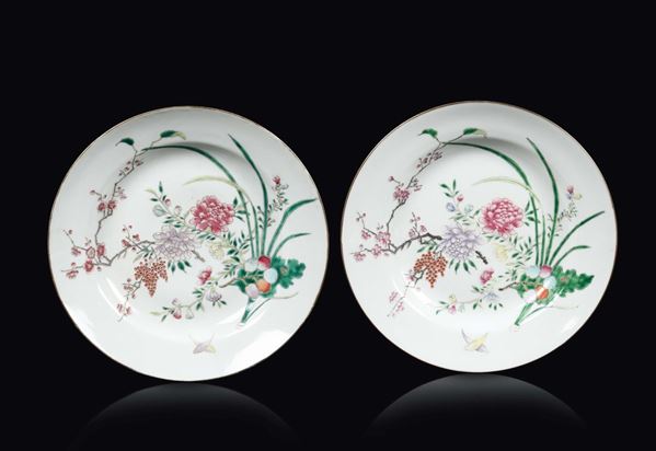 Coppia di piatti in porcellana Famiglia Rosa a decoro naturalistico, Cina, Dinastia Qing, XIX secolo