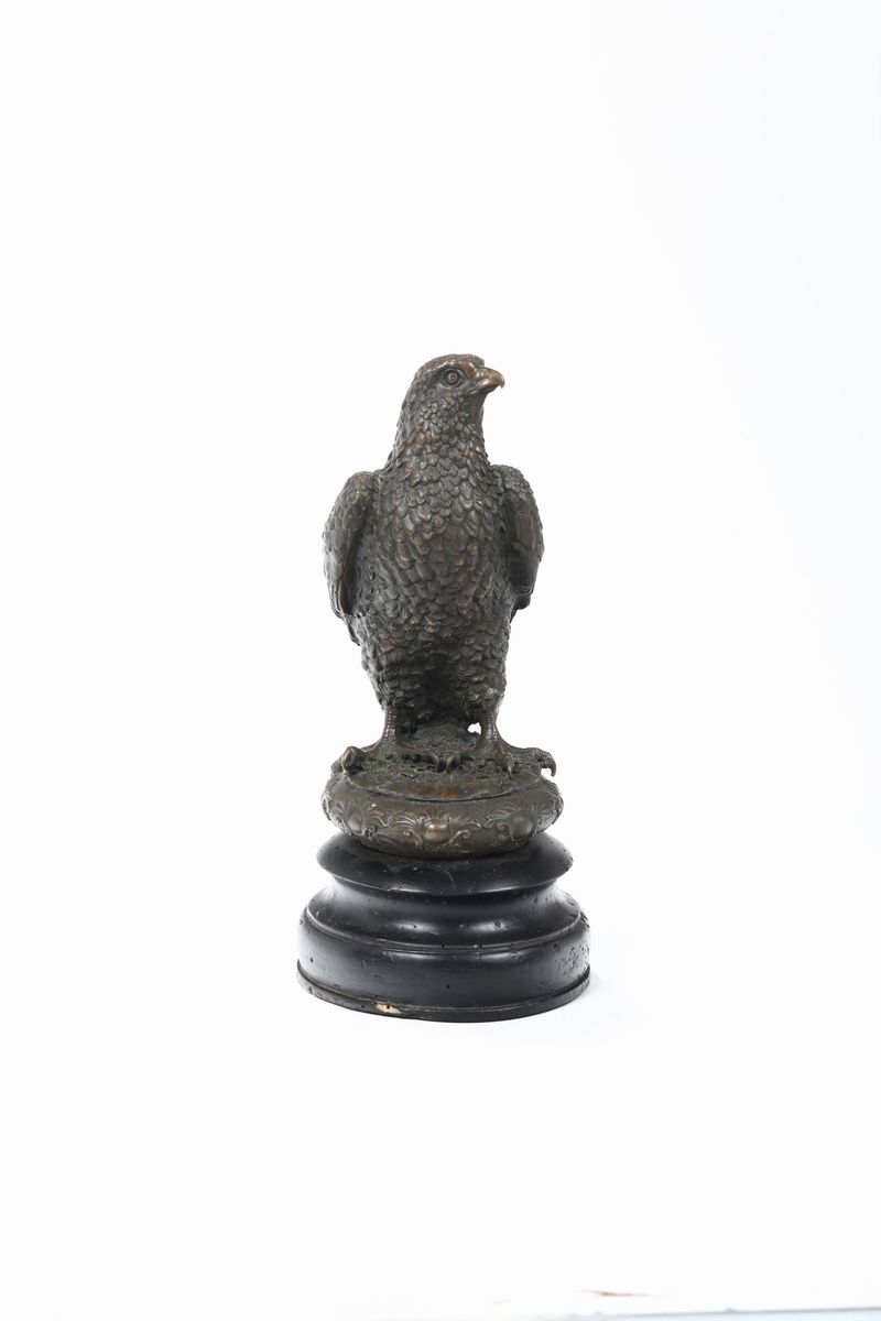 Aquila in Bronzo, XIX Secolo