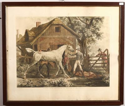 Stampa Raffigurante Cavallo con Fantino, Francia