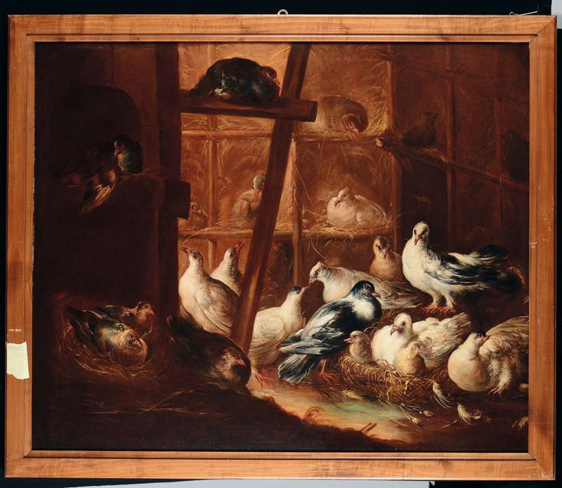 Felice Boselli (Piacenza 1650 - Parma 1732) Colombi  - Asta Dipinti Antichi - Cambi Casa d'Aste
