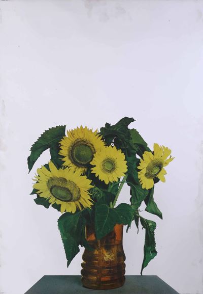 Michelangelo Pistoletto (1933)girasoli, 1962-1963