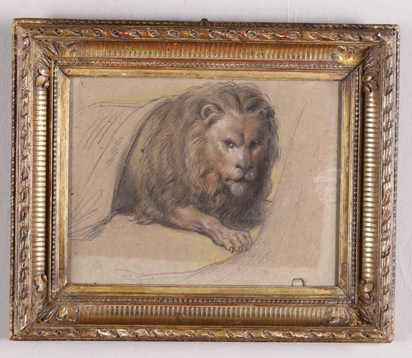 Scuola del XIX secolo Studio di leone accovacciato