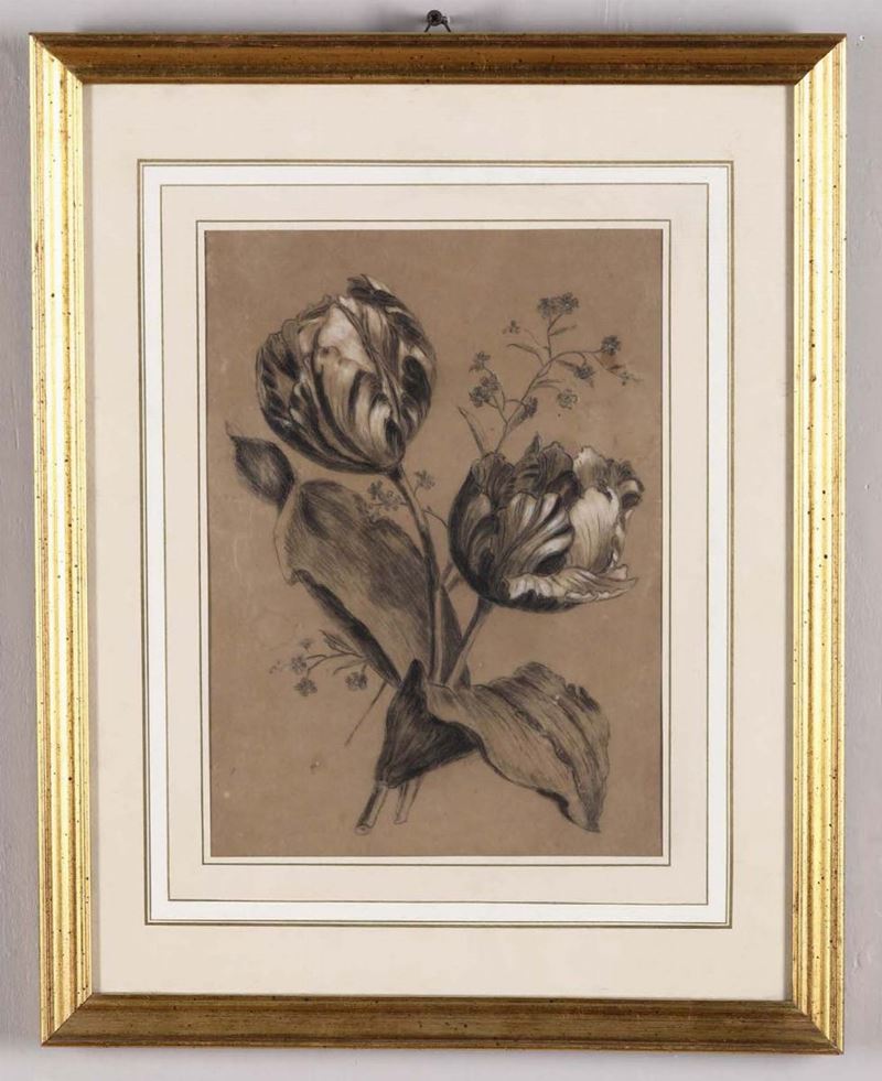 Scuola del XIX secolo Studio di botanica  - Auction Fine Art - Cambi Casa d'Aste
